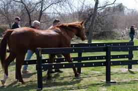 LR-WRF 0402026 Retreat-3408